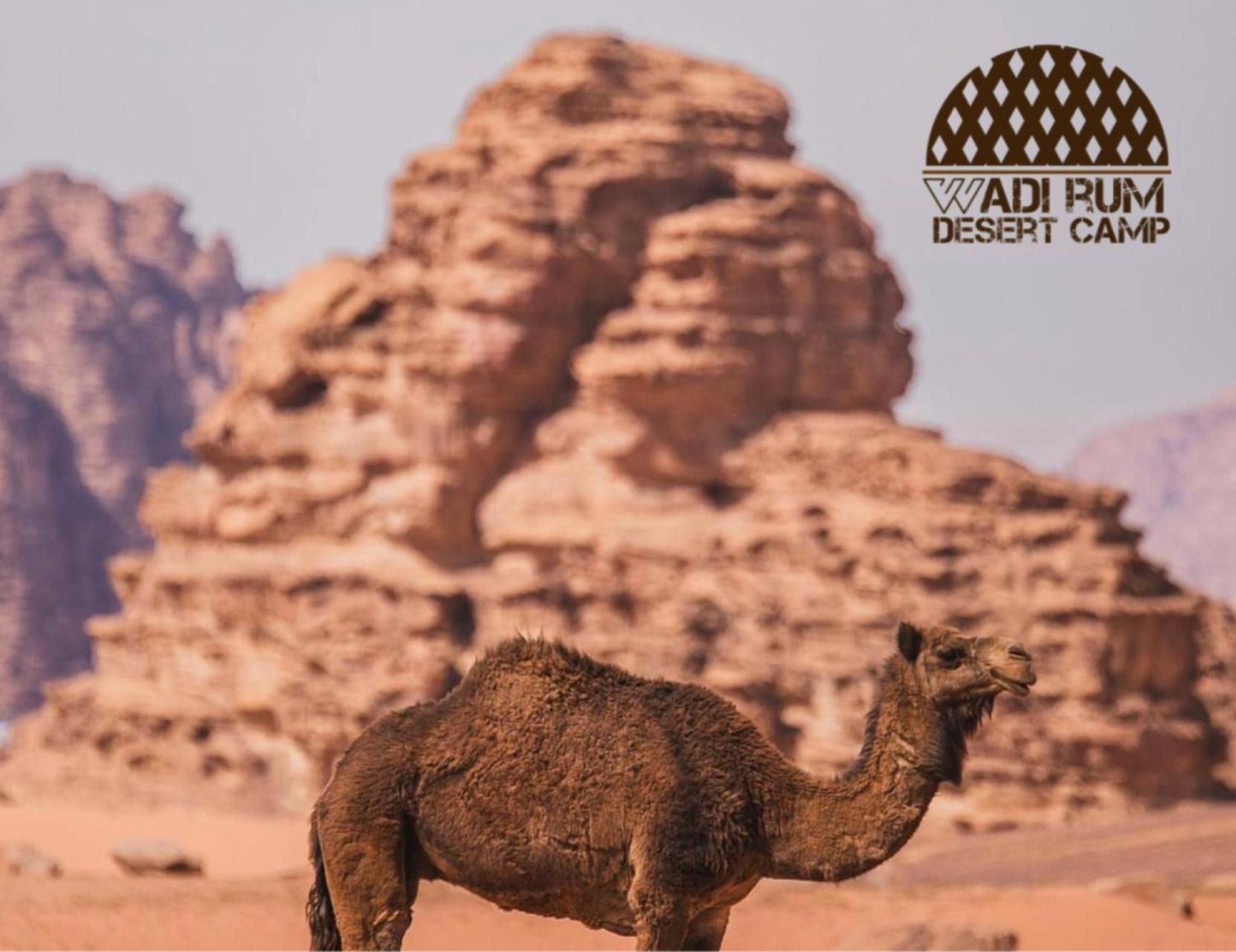 Wadi Rum Desert Camp Dış mekan fotoğraf